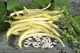 Image result for Buschbohnen