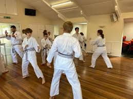 Image result for Plymouth Karate Club Kyokai