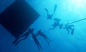 Image result for Blue Water Freediving School