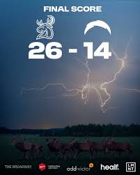 Image result for Southampton Stags