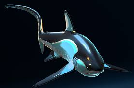 Image result for Alopias vulpinus