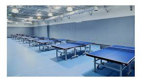 Image result for Jags Table Tennis Club