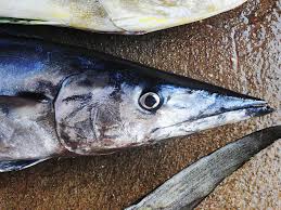 Image result for Acanthocybium solandri