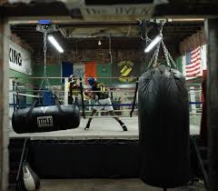 Image result for York University Boxing Club
