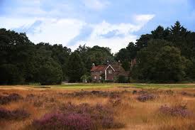 Image result for Reigate Heath Golf Club