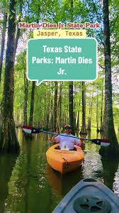 Image result for University Of Newcastle Upon Tyne Canoe Club