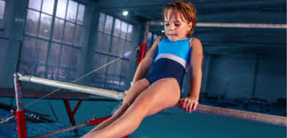 Image result for Northern Gymnastics Club CIC