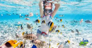 Image result for East Snorkellers