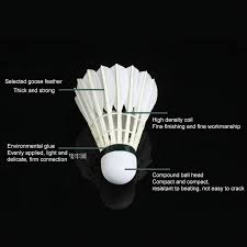 Image result for Feathers Badminton- Leatherhead