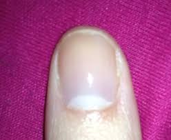 Image result for lunula nail