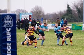 Image result for Ipswich Ym Rugby Union Football Club