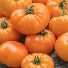Afbeeldingsresultaat voor amana orange beefsteak tomato