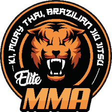 Image result for Bristol Dojo MMA