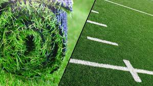 Image result for Astroturf
