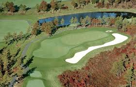 Image result for Plymouth Swallows Gc