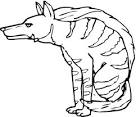 Hyena coloring page