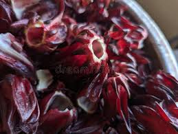 Attēlu rezultāti vaicājumam “Rumex acetosa fruit”