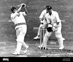 Image result for Bere Regis Cricket Club