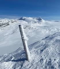 Image result for Tyneside Loipers