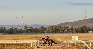 Image result for Dalkeith Park Equestrian Club