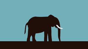 Image result for image