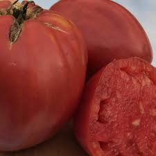 Afbeeldingsresultaat voor erdie family oxheart tomato