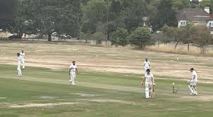 Image result for Wonersh Cricket Club