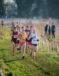 Image result for Hercules Wimbledon A C