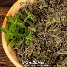 Image result for Stevia rebaudiana