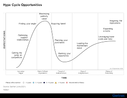 Image result for gartner hype 2011