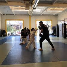 Image result for Association Of Sport Martial Arts