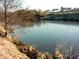 Image result for Irlam Cc