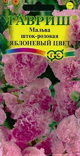 Image result for Alcea rosea `Appleblossom`
