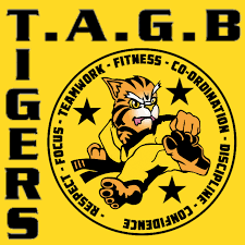 Image result for Kidderminster Tae Kwon Do Tigers