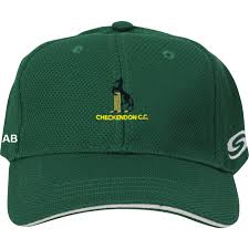 Image result for Checkendon Cricket Club