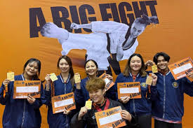 Image result for Chang's Hapkido Club