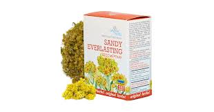 Attēlu rezultāti vaicājumam “Helichrysum arenarium bud”