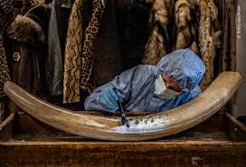 Attēlu rezultāti vaicājumam “Craterium minutum young”