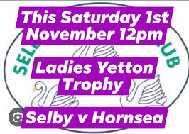 Image result for Selby Bowling Club