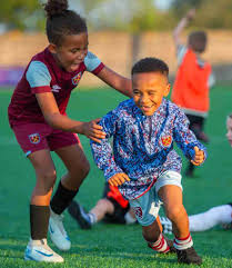 Image result for Ashford Tanners Handball Club