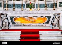 Image result for Saint Gregorio Barbarigo