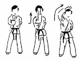 Image result for Jodan Karate