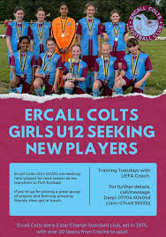Image result for Ercall Colts Football Club