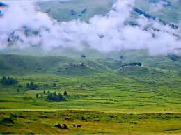 Image result for Sacred Heart Badminton Club