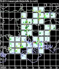 Attēlu rezultāti vaicājumam “Anacampsis blatariella”