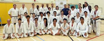 Image result for Shitokai Karate Club