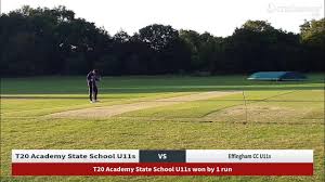 Image result for Effingham Cricket Club