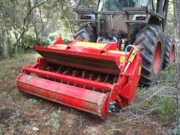 Image result for seppi tehron