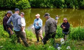 Image result for Becmain Angling Society