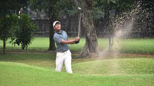 Image result for ProTouch Golf